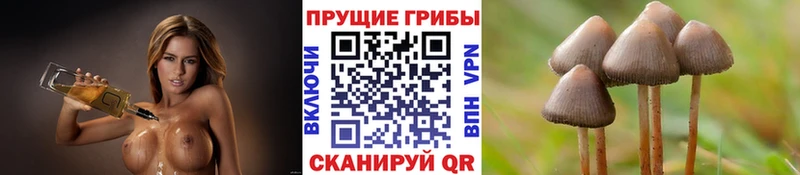 Галлюциногенные грибы мухоморы  Тайга 